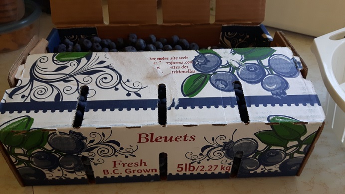 20170812_090936resized