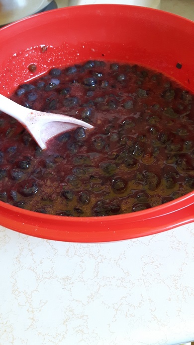 20170812_095122resized